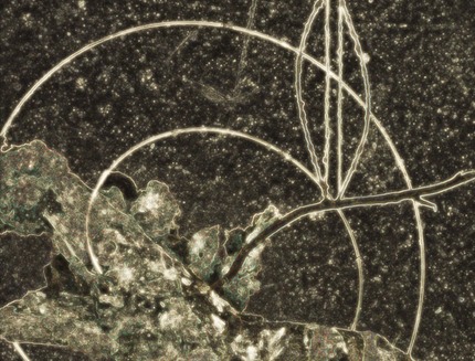digital images of sculpture