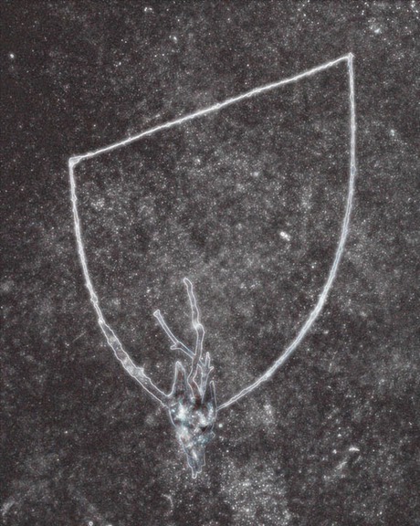 Spiritgraph # 5 copy