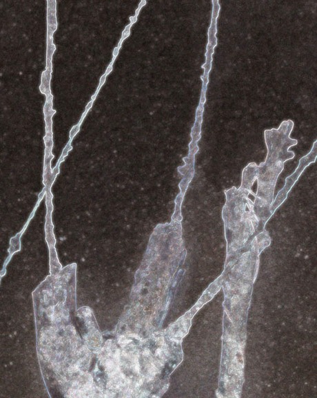 Spiritgraph # 6 copy